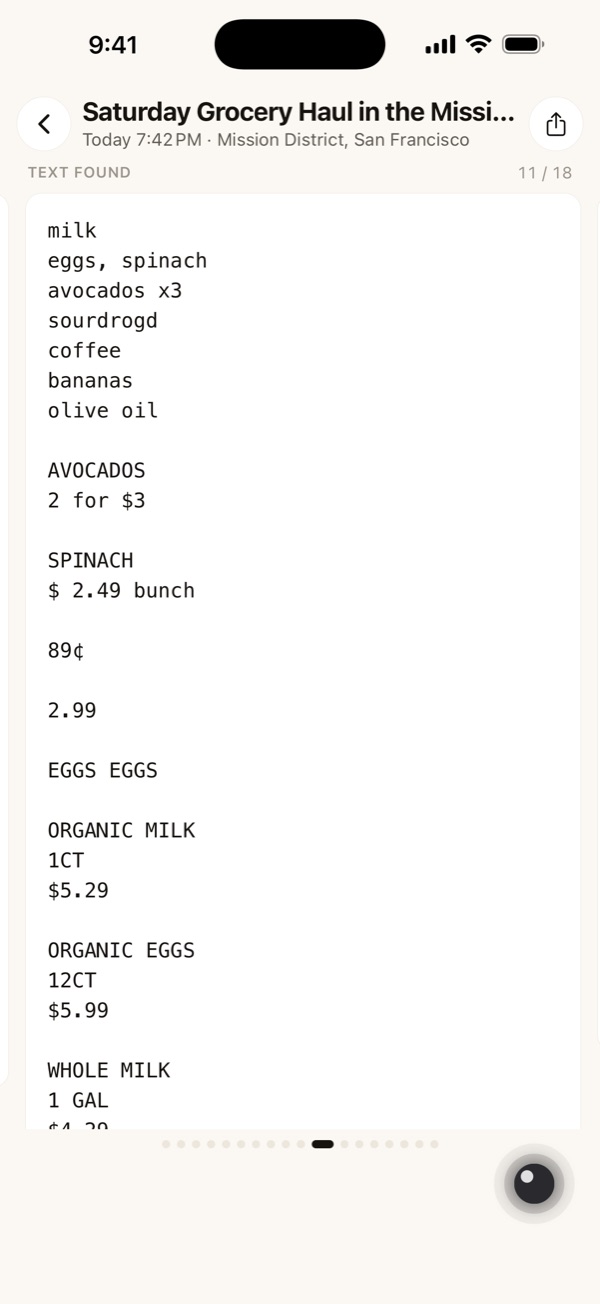 The handwritten shopping list copied out word for word